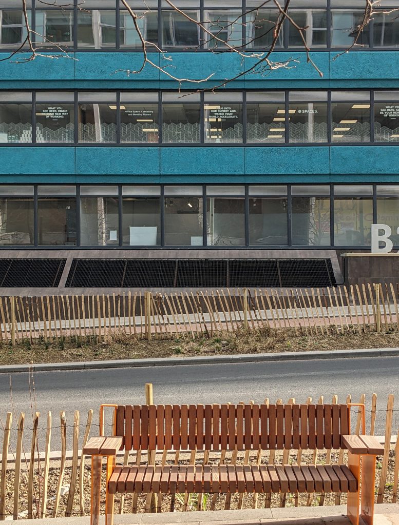 P5 - PXL_20250306_142828084 cropped